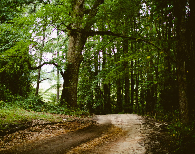 短信轰炸免费在线网站
